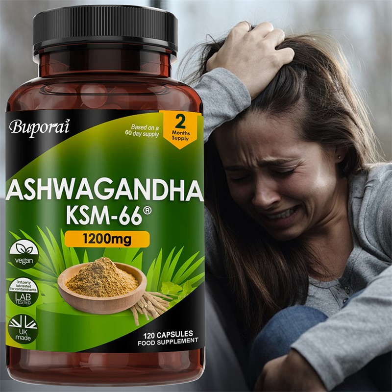 Ashwagandha KSM-66 1200mg - Me - Ginkgo Biloba Extract ulasan dan harga